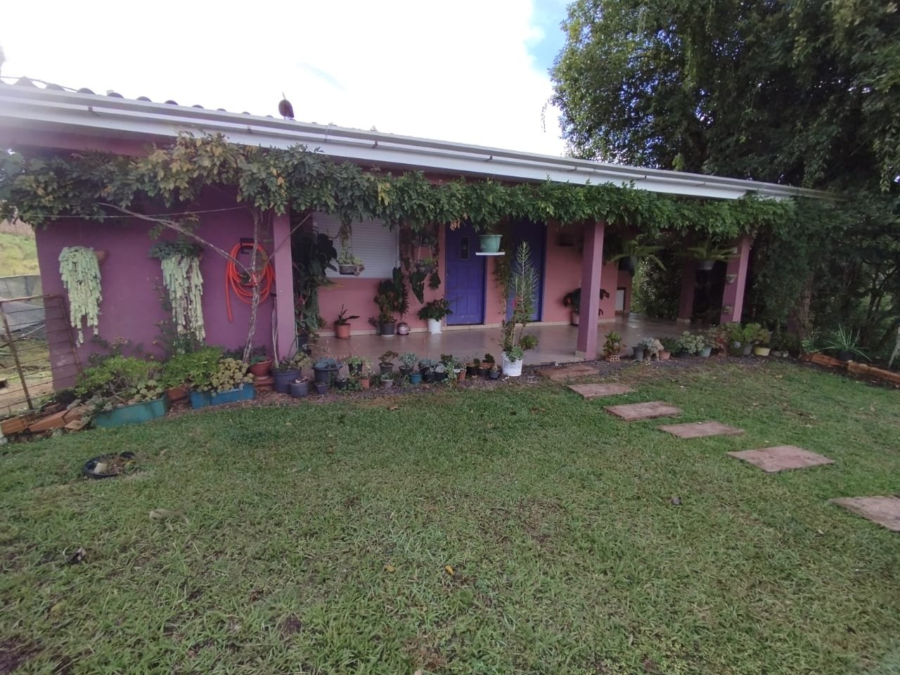 Neetzow Imobiliária