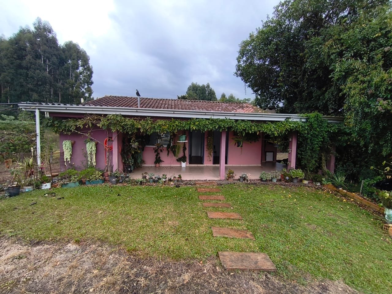 Neetzow Imobiliária