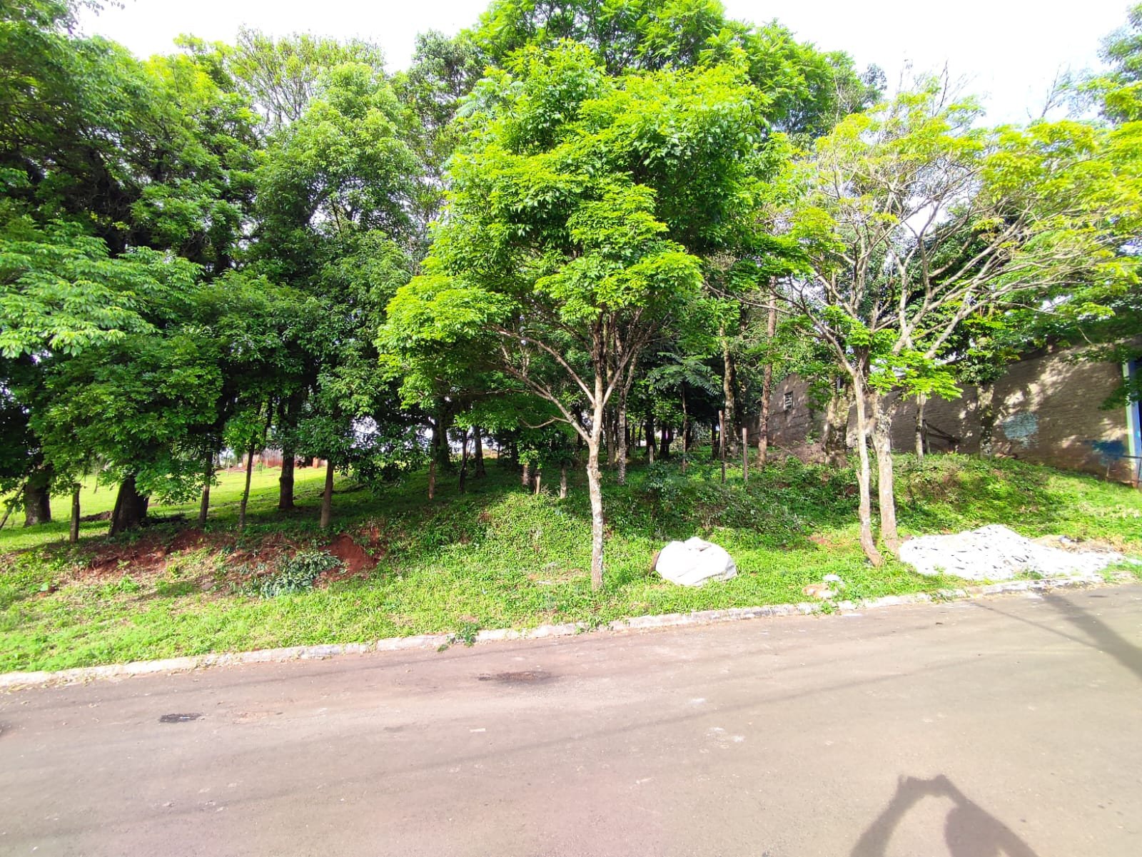 Neetzow Imobiliária