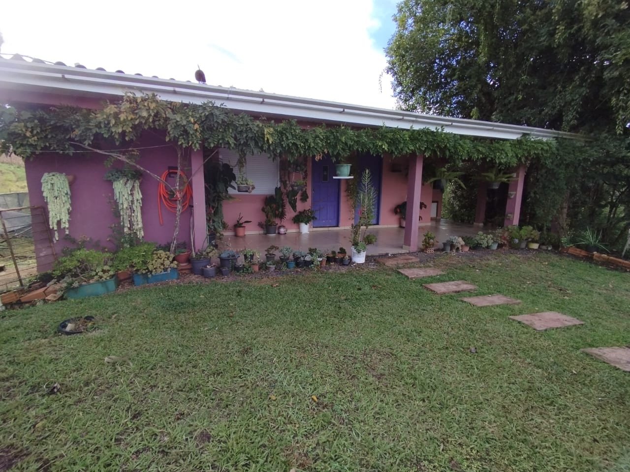 Neetzow Imobiliária