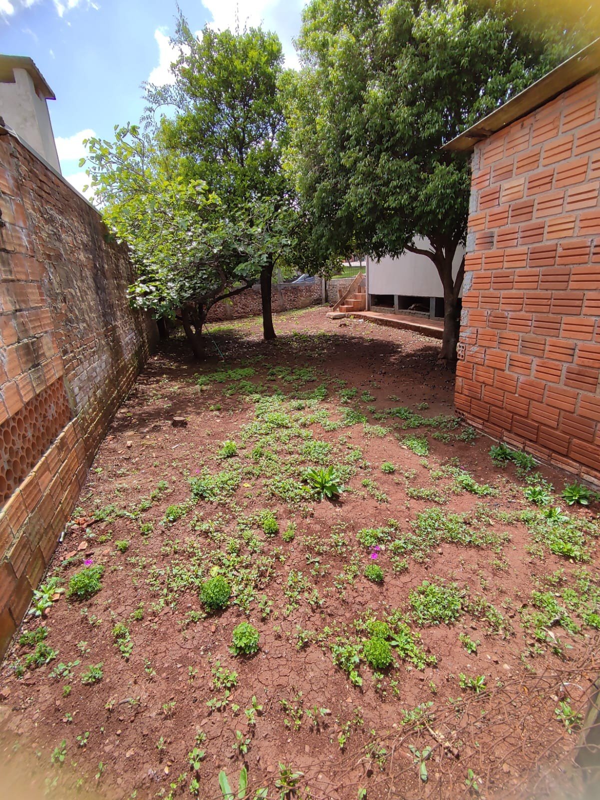 Neetzow Imobiliária